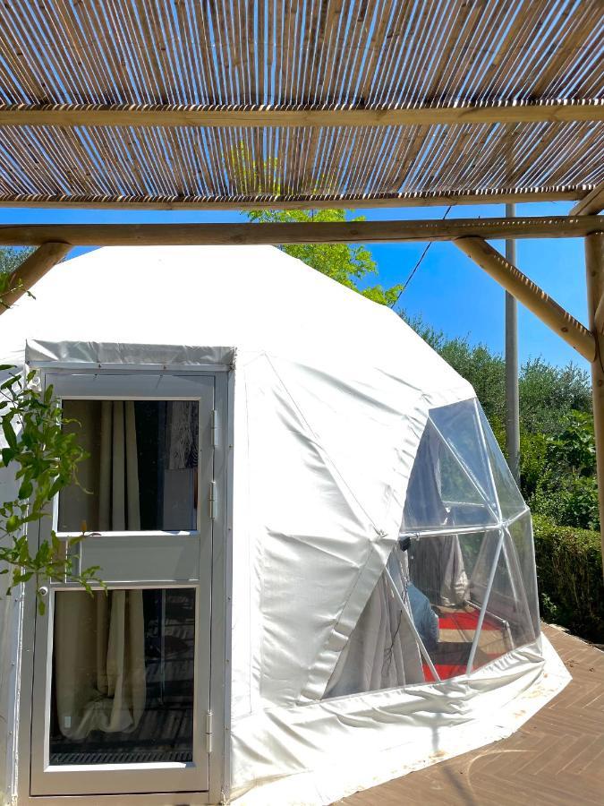 Lemon B&B Monsampolo Del Tronto Exterior foto