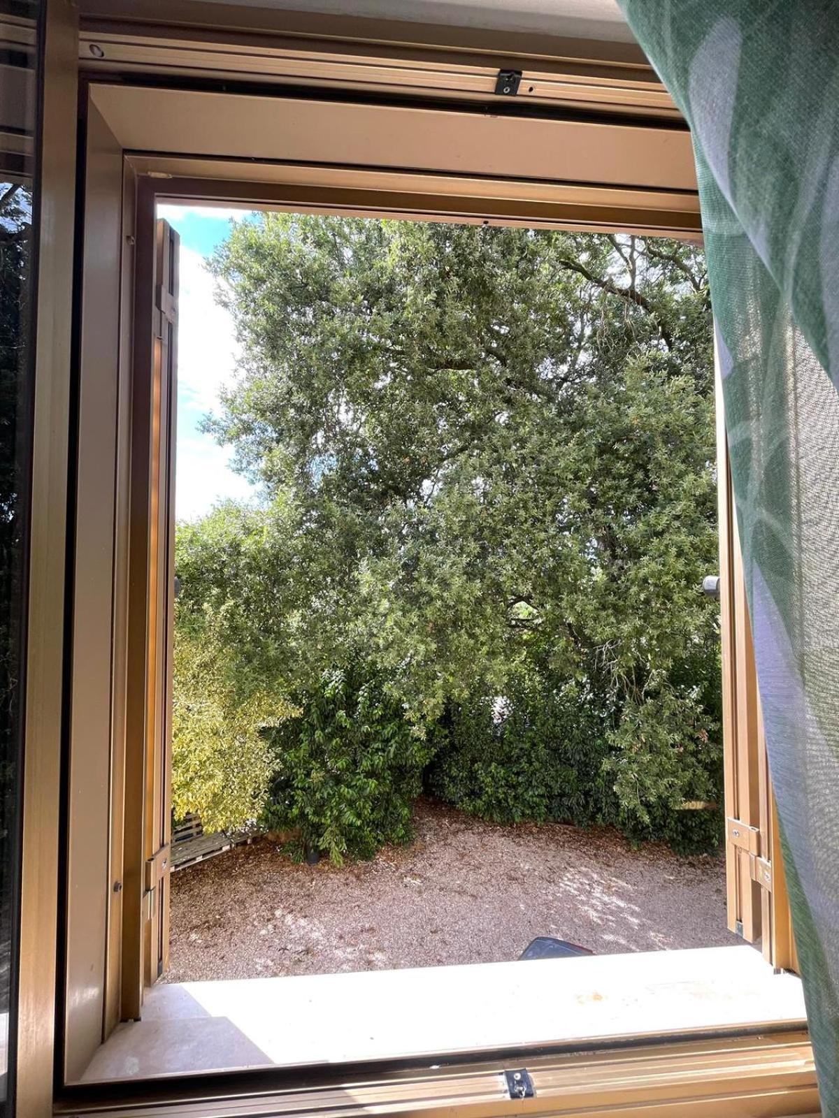 Lemon B&B Monsampolo Del Tronto Exterior foto